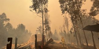 incendios forestales agroseguros