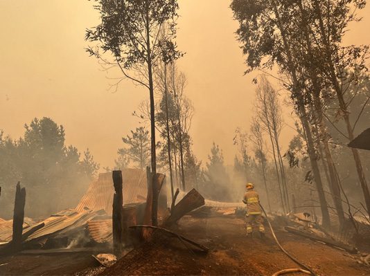incendios forestales agroseguros