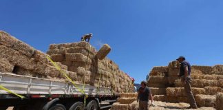 Ministro Valenzuela anuncia duplicación del presupuesto para enfrentar la emergencia por incendios forestales y alcanza los $3 mil millones