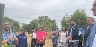 400 prequeños viñateros de Itata afectados por incendios forestales comenzaron a recibir asesoría especializada en INDAP