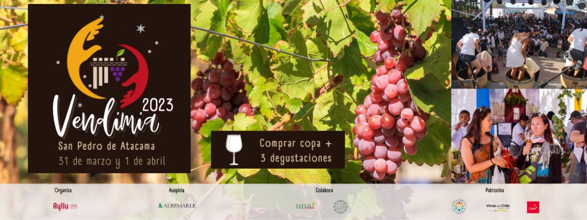 AYLLU Vendimia 2023 San Pedro de Atacama