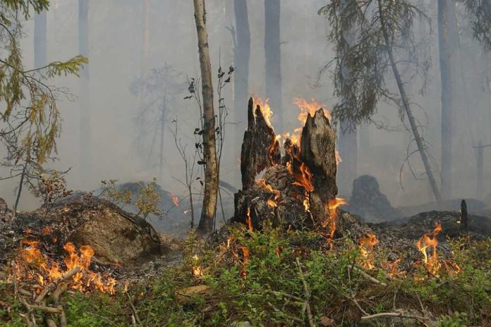 Agronomía UdeC abordará en seminario las herramientas de manejo técnico de agroecosistemas afectados por incendios