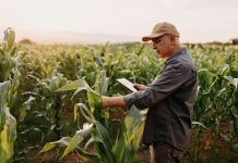 Anunciamos Microsoft Azure Data Manager for Agriculture: innovación acelerada en toda la cadena de valor agrícola
