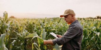 Anunciamos Microsoft Azure Data Manager for Agriculture: innovación acelerada en toda la cadena de valor agrícola