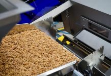Cómo los procesadores de frutos secos pueden beneficiarse de las últimas tecnologías de clasificación