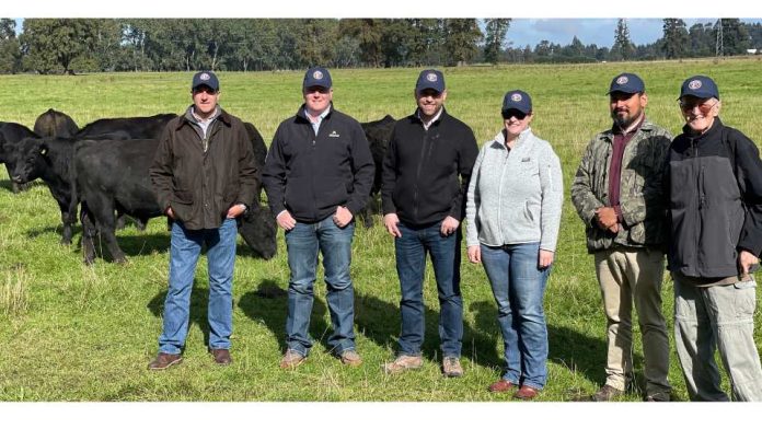 Delegación de Kansas y Nebraska viaja a conocer sistemas de producción de carne bovina en el sur de Chile