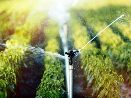 Día del Agua FIA ha impulsado más de 100 proyectos en optimización del recurso hídrico