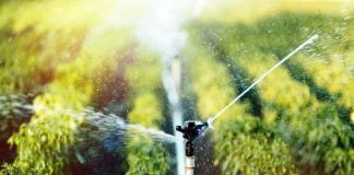 Día del Agua FIA ha impulsado más de 100 proyectos en optimización del recurso hídrico