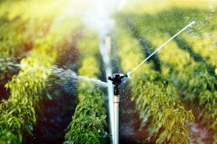 Día del Agua FIA ha impulsado más de 100 proyectos en optimización del recurso hídrico