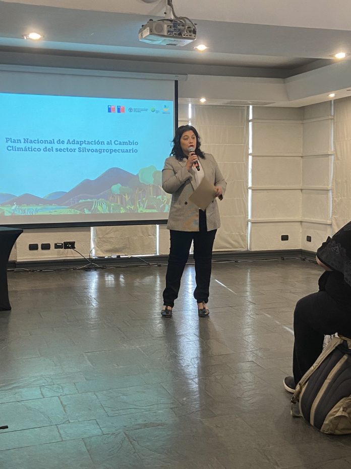 Finaliza el proceso de diseño de la “Actualización del Plan de Adaptación Nacional al Cambio Climático del sector Silvoagropecuario (PANCC SAP)”.