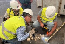 Durante el 2022: SAG Biobío interceptó plagas de importancia forestal en embalajes de madera de importaciones