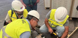 Durante el 2022: SAG Biobío interceptó plagas de importancia forestal en embalajes de madera de importaciones