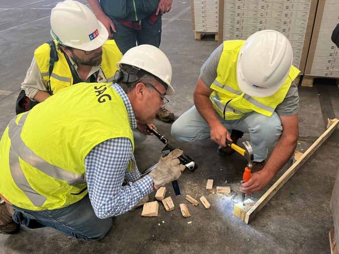 Durante el 2022: SAG Biobío interceptó plagas de importancia forestal en embalajes de madera de importaciones
