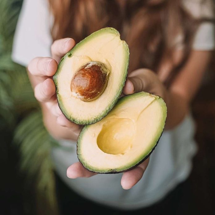 El kilo de palta subiría luca por semana durante marzo