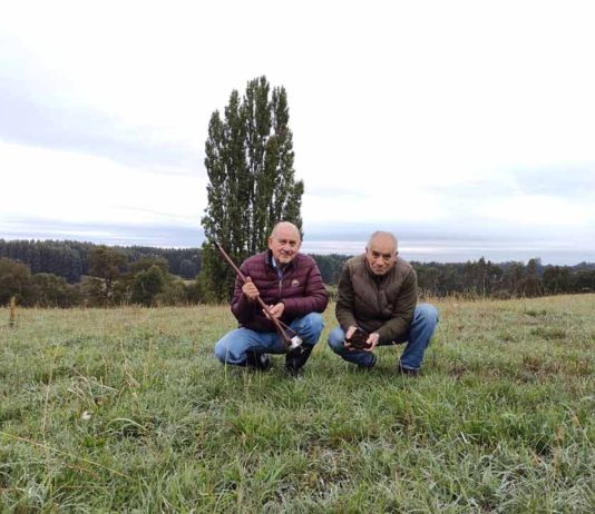 Especialistas de INIA Remehue entregan recomendaciones a productores ganaderos para el control de plagas en praderas