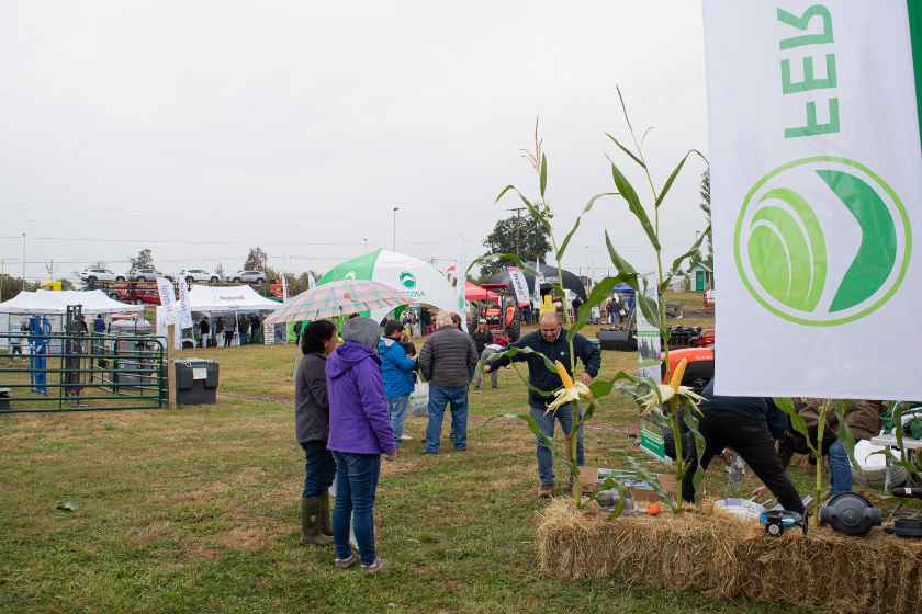 Expo Ferosor 2023, un referente para la agricultura y ganadería del sur de Chile (1)