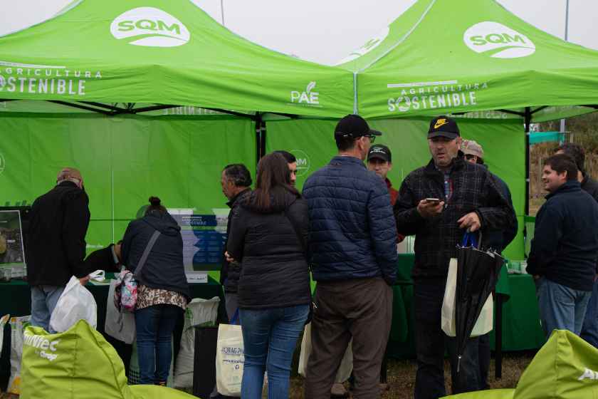 Expo Ferosor 2023, un referente para la agricultura y ganadería del sur de Chile (1)