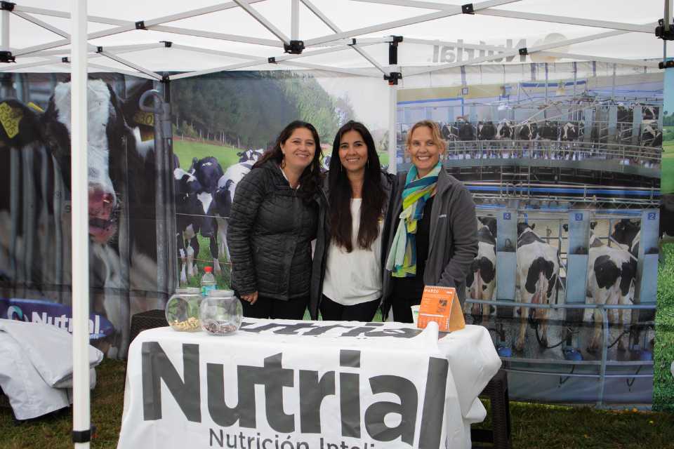 Expo Ferosor, un referente para la agricultura y ganadería del sur de Chile