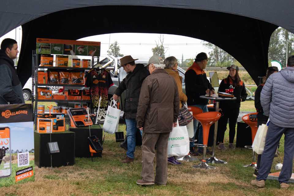 Expo Ferosor, un referente para la agricultura y ganadería del sur de Chile