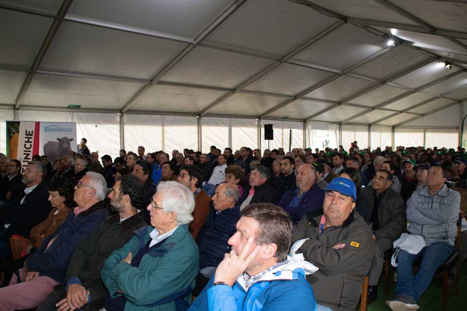 Expo Ferosor, un referente para la agricultura y ganadería del sur de Chile