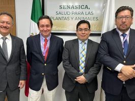 Exportadores de frutas junto a autoridades chilenas buscan mayor presencia en el mercado mexicano