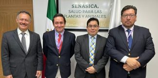 Exportadores de frutas junto a autoridades chilenas buscan mayor presencia en el mercado mexicano