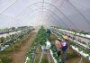 INIA Ururi, 15 años al servicio de la agricultura familiar campesina de Arica y Parinacota
