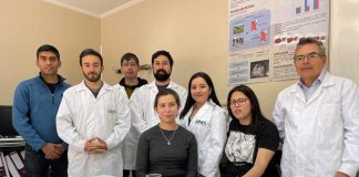 Investigadores de INIA realizan evaluación sensorial de leches de burra, cabra y vaca con y sin lactosa