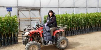 Mujeres empoderadas en el mundo de la agricultura campesina trabajan de la mano de INIA Intihuasi