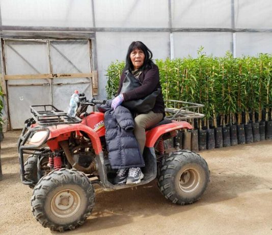 Mujeres empoderadas en el mundo de la agricultura campesina trabajan de la mano de INIA Intihuasi