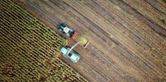 Las industrias más importantes de Chile para este 2023