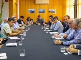 Ministerio de Agricultura confirma primer caso de influenza aviar en plantel productivo y SAG auto suspende exportaciones de carnes de ave