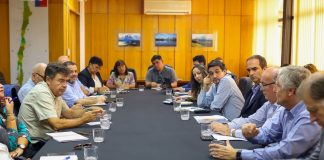 Ministerio de Agricultura confirma primer caso de influenza aviar en plantel productivo y SAG auto suspende exportaciones de carnes de ave