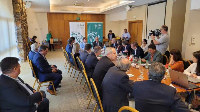 Consejo Agropecuario del Sur aborda situación de la influenza aviar en la región y ministro Valenzuela garantiza trabajo estratégico conjunto 