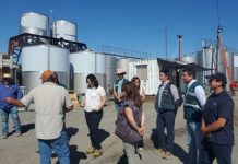 Odepa refuerza el trabajo de toma de precios de uva vinífera