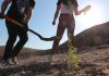Parque Urbano Santa Rosa incorpora más vegetación en pleno desierto