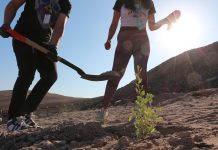 Parque Urbano Santa Rosa incorpora más vegetación en pleno desierto