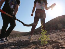 Parque Urbano Santa Rosa incorpora más vegetación en pleno desierto
