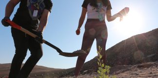 Parque Urbano Santa Rosa incorpora más vegetación en pleno desierto