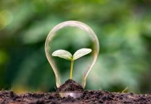 Premio Zayed a la Sostenibilidad lanza una nueva categoría e invita a innovaciones chilenas a participar 