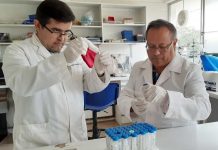 Revista de alto impacto en Medicina Veterinaria destaca investigación en la que colaboran académicos UdeC