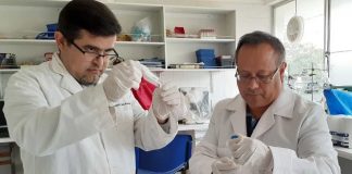 Revista de alto impacto en Medicina Veterinaria destaca investigación en la que colaboran académicos UdeC