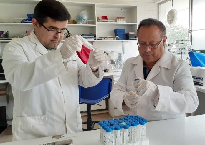 Revista de alto impacto en Medicina Veterinaria destaca investigación en la que colaboran académicos UdeC