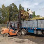 SAG refuerza fiscalización a poderes compradores de uva