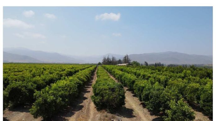 Tecnologías de eficiencia hídrica están ganando espacio en el campo de la Región de Coquimbo