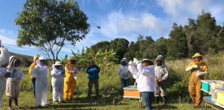 Últimos días para postular a giras y consultorías para la innovación