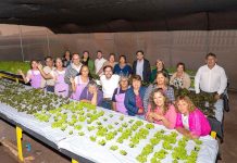 Agricultoras de Caleta Urco implementarán innovador sistema energético para producción hidropónica