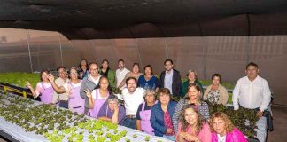 Agricultoras de Caleta Urco implementarán innovador sistema energético para producción hidropónica