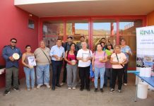 Agricultores de Canela, Monte Patria, Combarbalá y Punitaqui comienzan a aplicar estrategias de prevención de plagas dirigidas al no uso de plaguicida Agricultores de Canela, Monte Patria, Combarbalá y Punitaqui comienzan a aplicar estrategias de prevención de plagas dirigidas al no uso de plaguicida