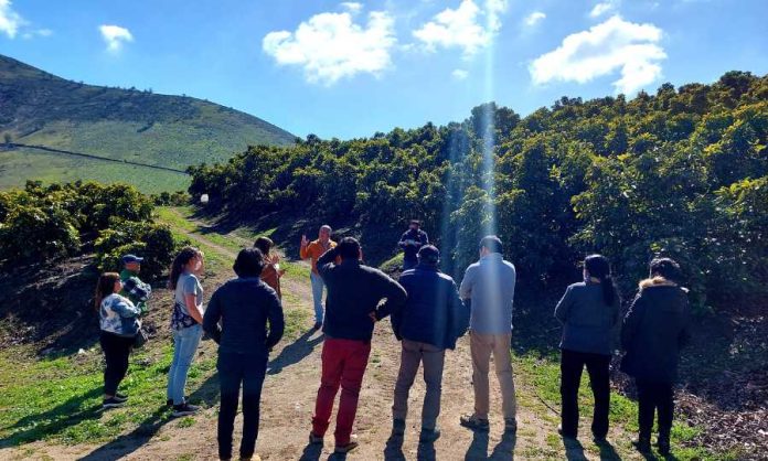 Agricultores de Choapa mejoran riego gracias a su motivación y al apoyo de INIA Intihuasi
